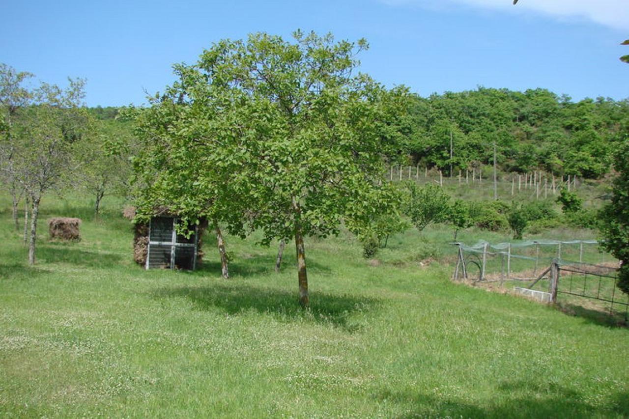 Casa Vacanza Le Corniole Civitella in Val di Chiana Εξωτερικό φωτογραφία